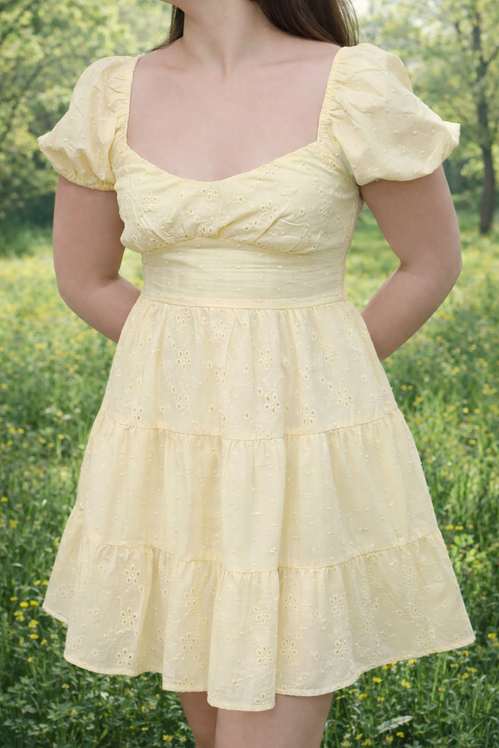 Blushing Eyelet Tiered Puff Sleeve Dress
