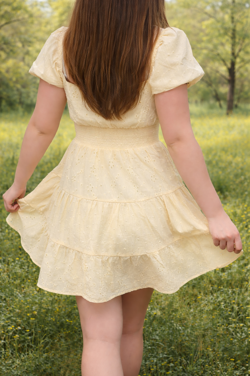 Blushing Eyelet Tiered Puff Sleeve Dress